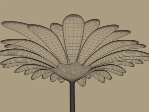 gerbera flower 3D Model