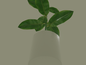 exotic indoor plant Modelo 3D