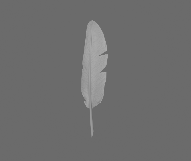 quill 3Dモデル .c4d .max .obj .3ds .fbx .stl .blend 
