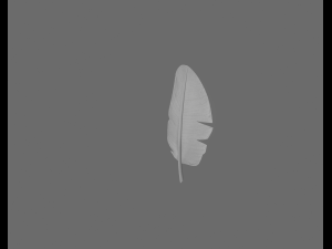 quill 3Dモデル