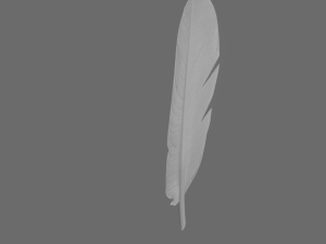 quill 3Dモデル
