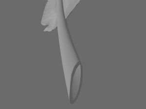 quill 3Dモデル