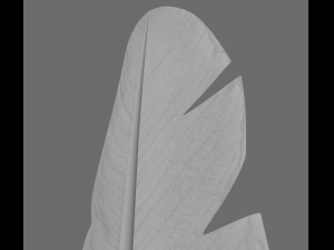quill 3Dモデル