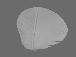 quill 3Dモデル