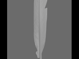 quill 3Dモデル