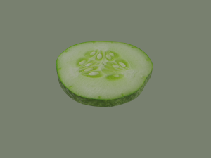 cucumber slice 3D Model