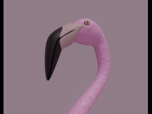 flamingo Modello 3D