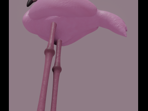 flamingo Modello 3D