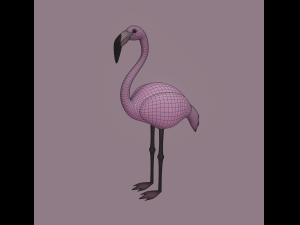 flamingo Modello 3D