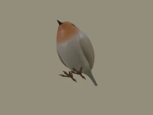 european robin bird 3D Model