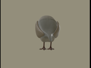 european robin bird 3D Model
