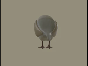 european robin bird 3D Model