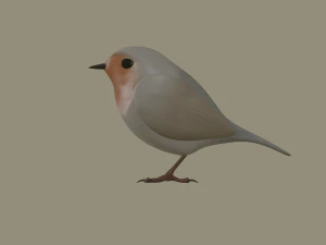european robin bird 3D Model