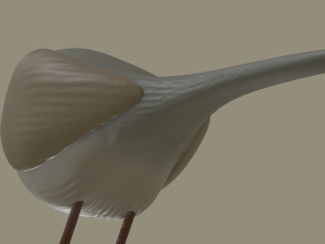 european robin bird 3D Model