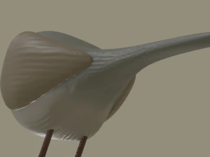 european robin bird 3D Model