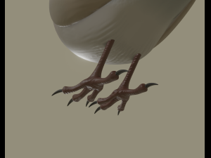 european robin bird 3D Model