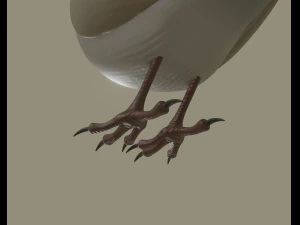 european robin bird 3D Model