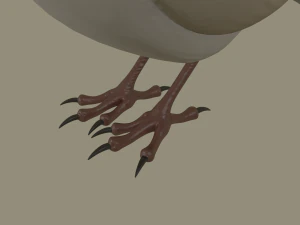european robin bird 3D Model