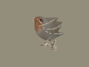 european robin bird 3D Model