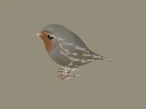 european robin bird 3D Model