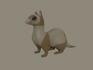 ferret 3D-Modell