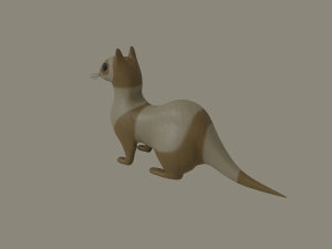 ferret 3Dモデル