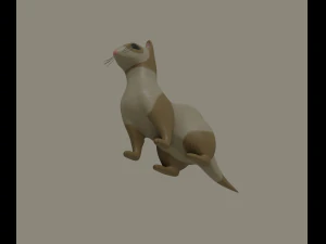 furetto Modello 3D