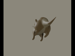 ferret 3Dモデル