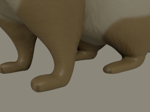 ferret 3Dモデル
