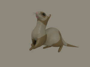 ferret 3Dモデル