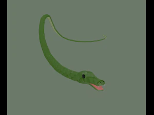 snake 3D Model