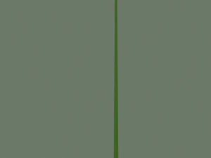 snake 3D Model