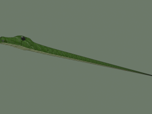 snake 3D Модель