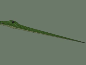 snake 3D Model