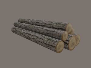 logs Modèle 3D