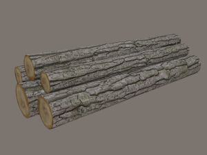 logs 3D Модель