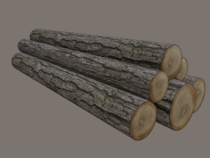 logs 3D Модель