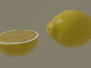 lemon 3D Model