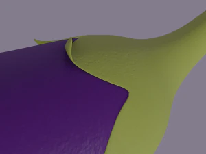 eggplant 3D Model