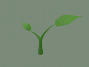germoglio della pianta Modello 3D