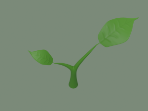 plant sprout Model 3D
