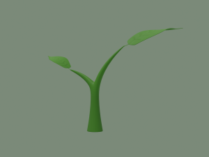 plant sprout Model 3D