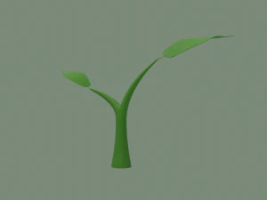 plant sprout 3D Model