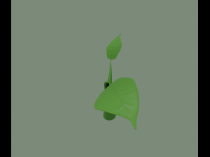 plant sprout Model 3D
