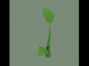 plant sprout 3D Model