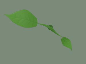 plant sprout Model 3D