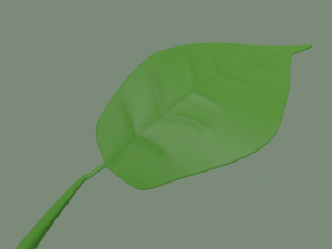plant sprout Model 3D