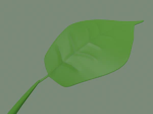 plant sprout 3D Model