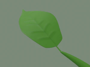 plant sprout 3D Model