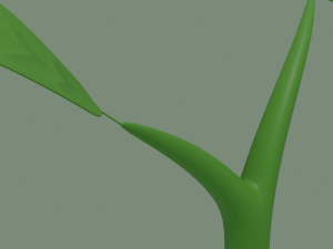 plant sprout Model 3D